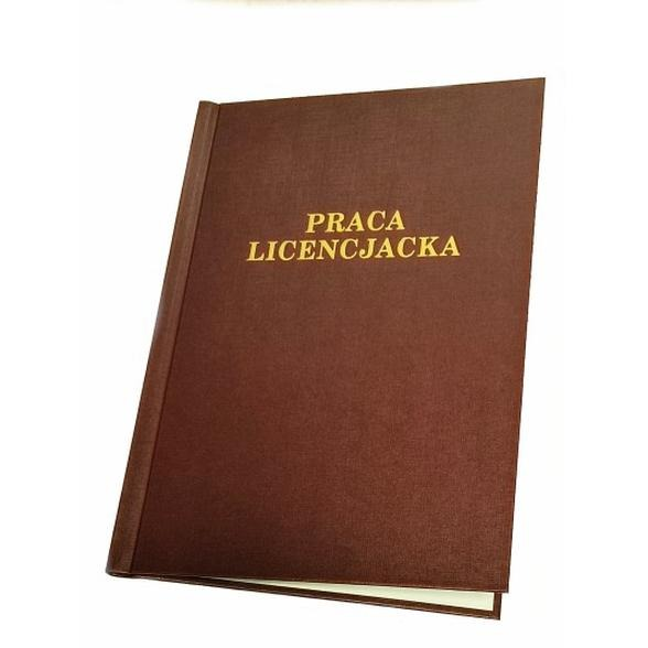 Jak napisać wstęp do pracy licencjackiej? Wzór i praktyczne wskazówki