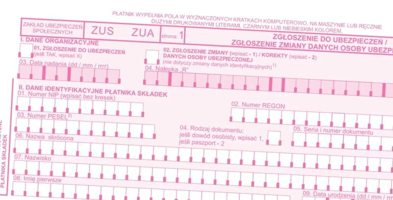Jak sprawdzić, czy jesteś zatrudniony? ZUS, umowa i e-Urząd