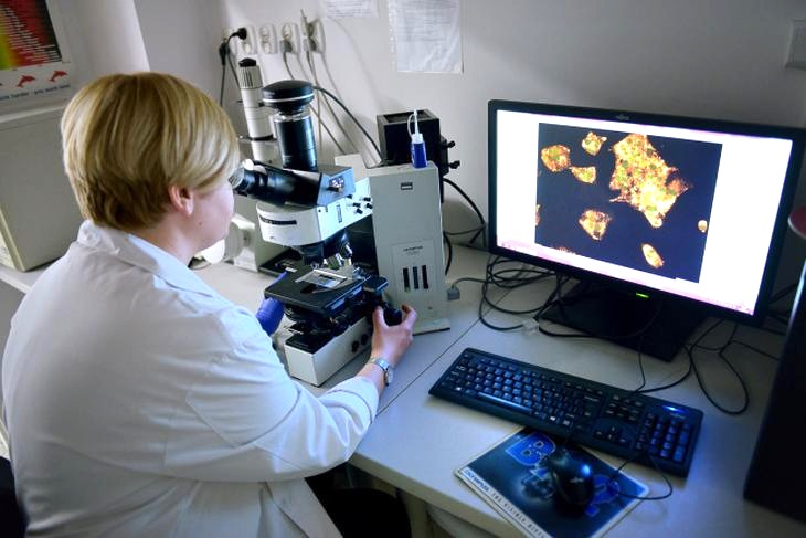 Jaka praca po nanotechnologii? ścieżki kariery i zarobki absolwentów