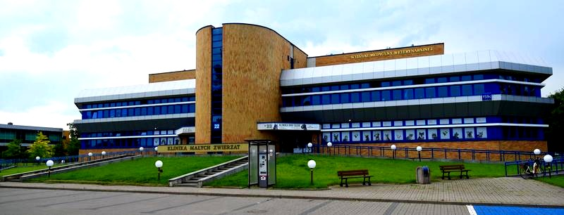 SGGW: do kiedy trwa rekrutacja na studia w 2026 roku – terminy i daty