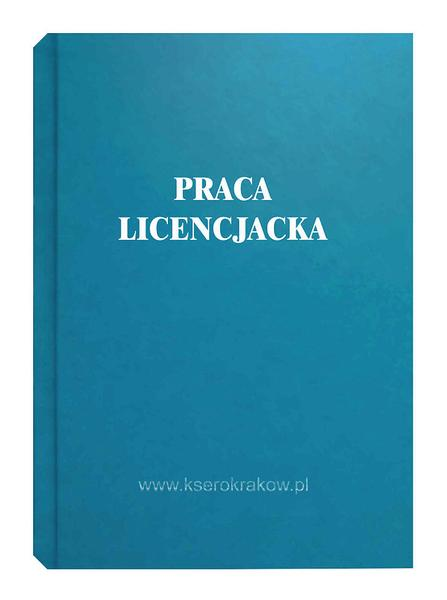 Elementy pracy licencjackiej