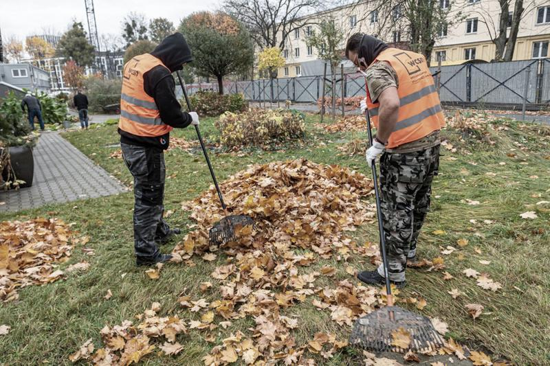 Rodzaje prac społecznych