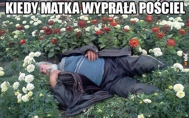 Świeżość i higiena pościeli
